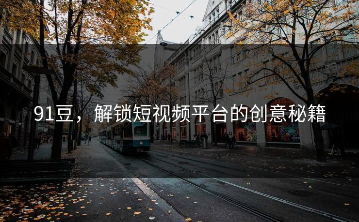 91豆，解锁短视频平台的创意秘籍