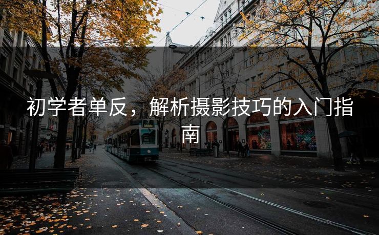 初学者单反，解析摄影技巧的入门指南