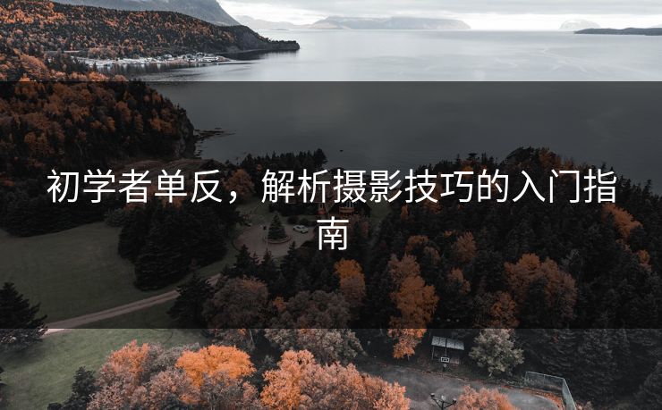 初学者单反，解析摄影技巧的入门指南