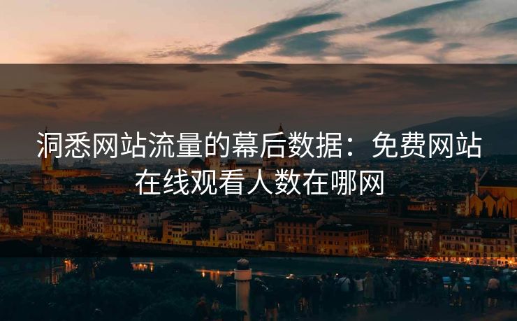 洞悉网站流量的幕后数据：免费网站在线观看人数在哪网