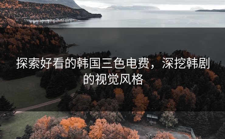 探索好看的韩国三色电费，深挖韩剧的视觉风格