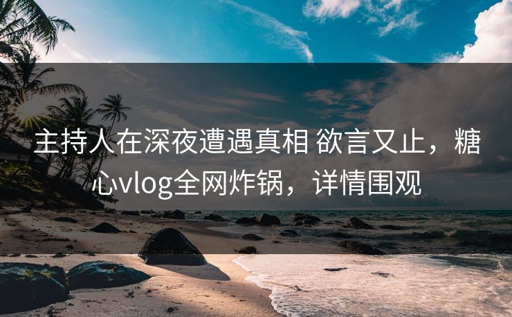 主持人在深夜遭遇真相 欲言又止，糖心vlog全网炸锅，详情围观