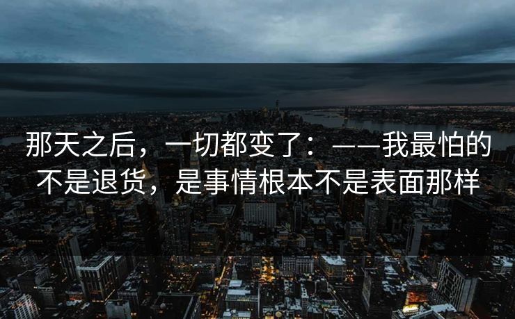 那天之后，一切都变了：——我最怕的不是退货，是事情根本不是表面那样