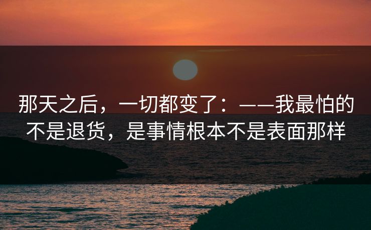 那天之后，一切都变了：——我最怕的不是退货，是事情根本不是表面那样