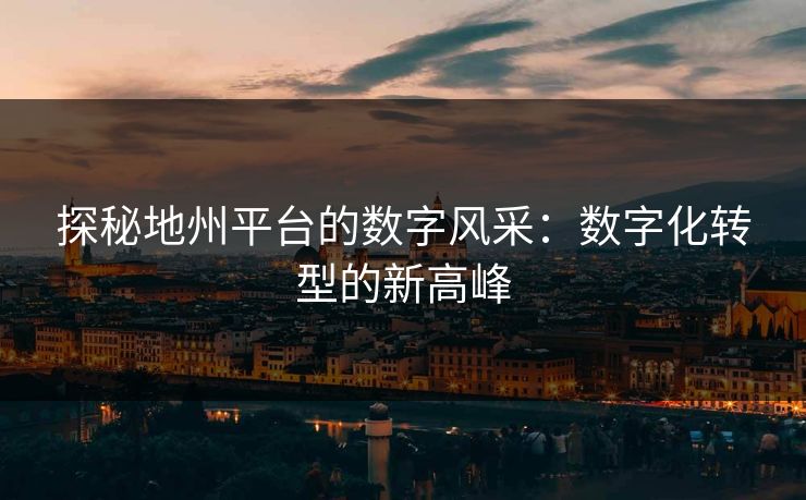 探秘地州平台的数字风采：数字化转型的新高峰