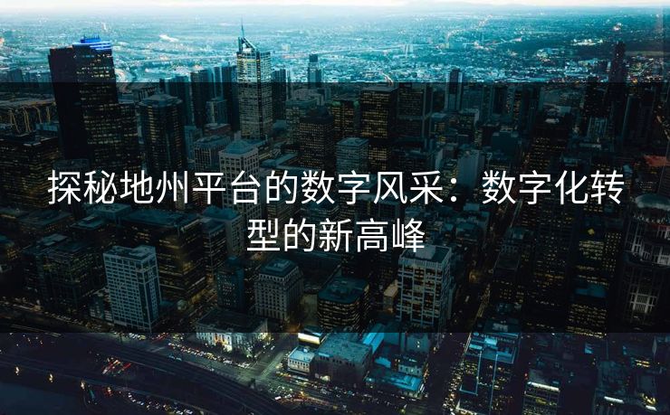探秘地州平台的数字风采：数字化转型的新高峰