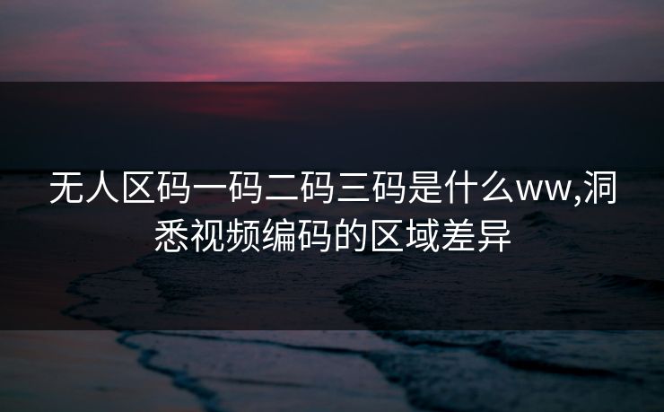无人区码一码二码三码是什么ww,洞悉视频编码的区域差异