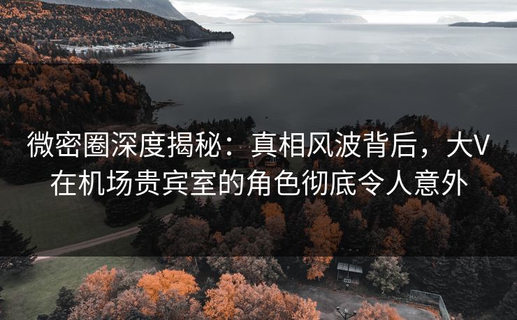 微密圈深度揭秘:真相风波背后,大V在机场贵宾室的角色彻底令人意外 微密圈深度揭秘:真相风波背后,大V在机场贵宾室的角色彻底令人意外